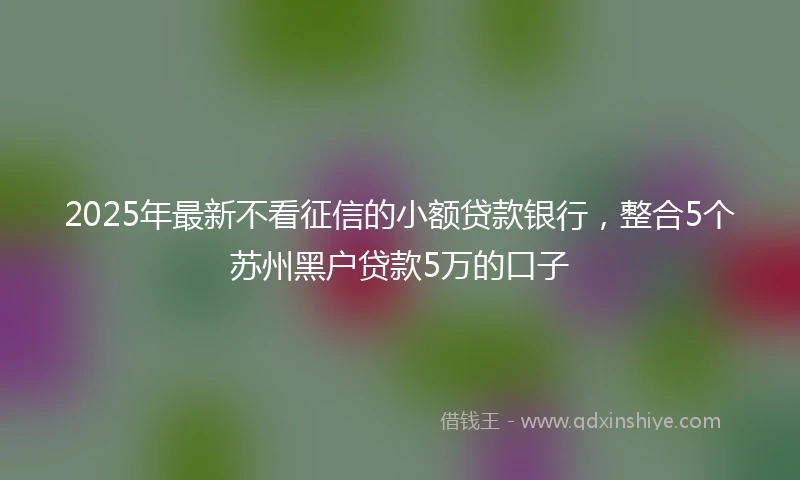 2025年最新不看征信的小额贷款银行，整合5个苏州黑户贷款5万的口子