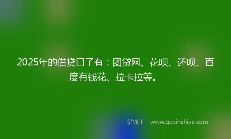 2025年的借贷口子有：团贷网、花呗、还呗、百度有钱花、拉卡拉等。