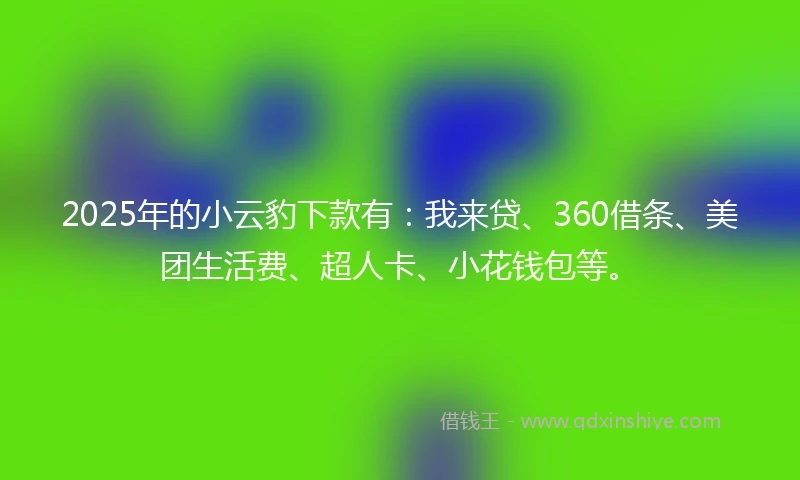 2025年的小云豹下款有：我来贷、360借条、美团生活费、超人卡、小花钱包等。