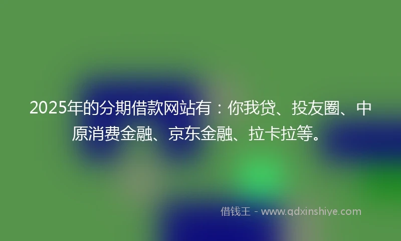 2025年的分期借款网站有：你我贷、投友圈、中原消费金融、京东金融、拉卡拉等。