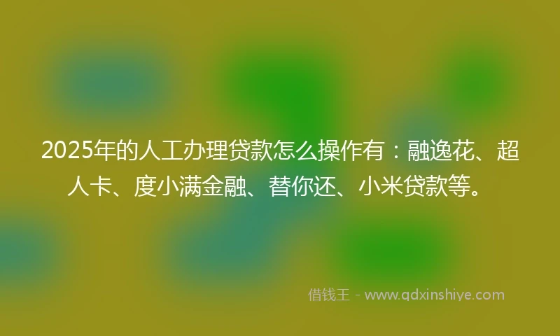 2025年的人工办理贷款怎么操作有：融逸花、超人卡、度小满金融、替你还、小米贷款等。