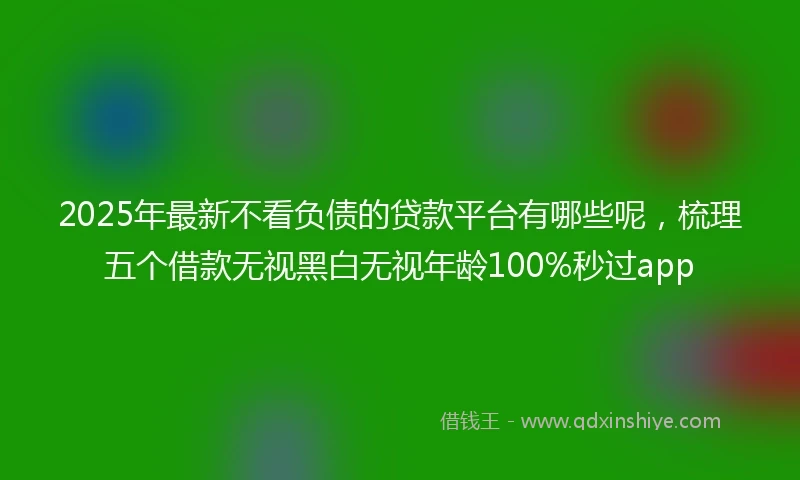 2025年最新不看负债的贷款平台有哪些呢，梳理五个借款无视黑白无视年龄100%秒过app