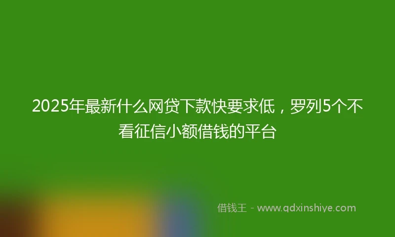 2025年最新什么网贷下款快要求低，罗列5个不看征信小额借钱的平台