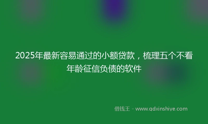 2025年最新容易通过的小额贷款，梳理五个不看年龄征信负债的软件