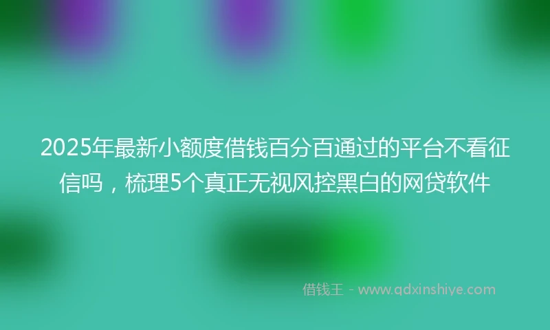 2025年最新小额度借钱百分百通过的平台不看征信吗，梳理5个真正无视风控黑白的网贷软件