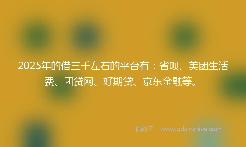2025年的借三千左右的平台有：省呗、美团生活费、团贷网、好期贷、京东金融等。