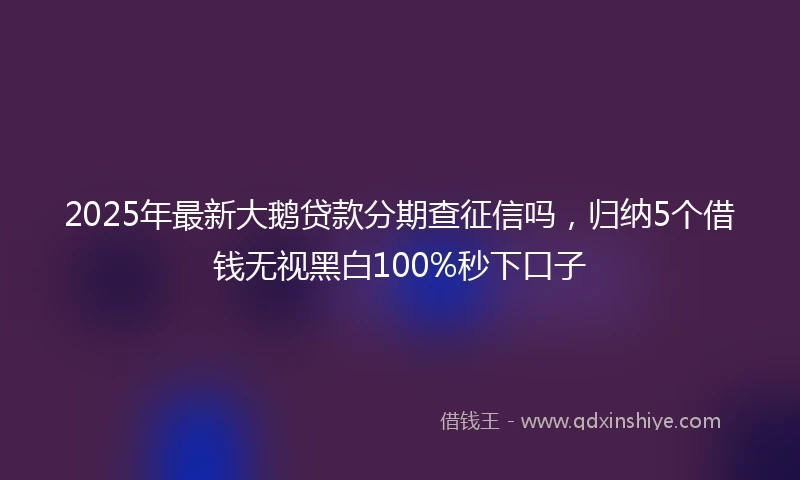 2025年最新大鹅贷款分期查征信吗，归纳5个借钱无视黑白100%秒下口子