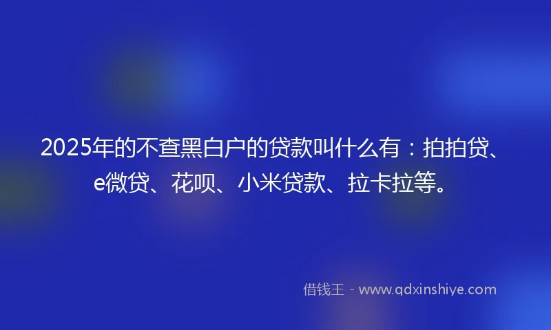 2025年的不查黑白户的贷款叫什么有：拍拍贷、e微贷、花呗、小米贷款、拉卡拉等。
