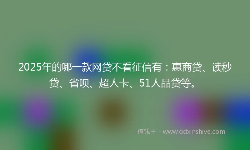 2025年的哪一款网贷不看征信有：惠商贷、读秒贷、省呗、超人卡、51人品贷等。
