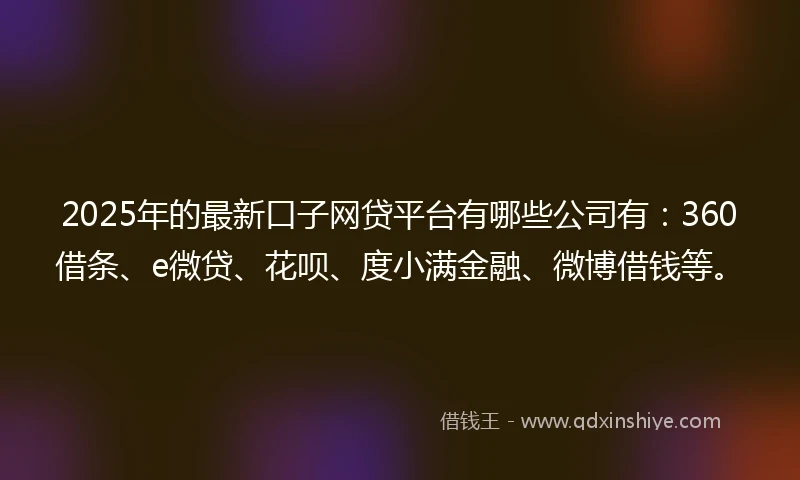 2025年的最新口子网贷平台有哪些公司有：360借条、e微贷、花呗、度小满金融、微博借钱等。