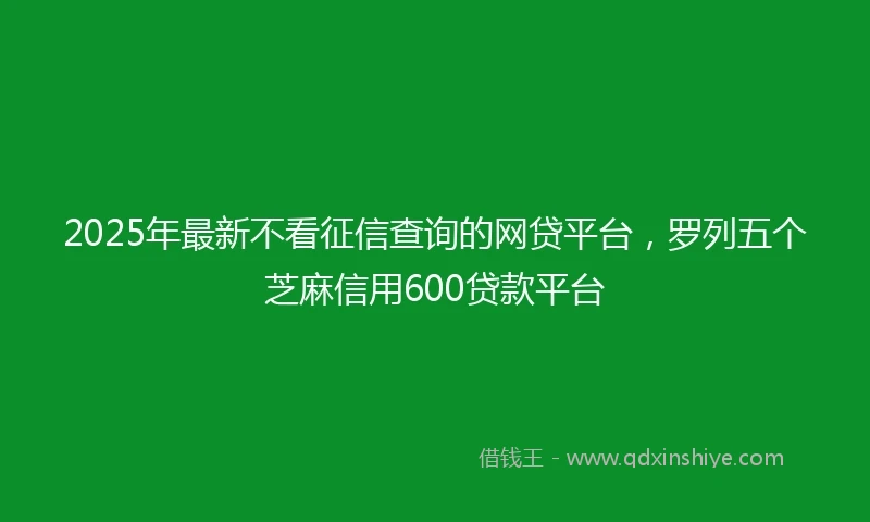 2025年最新不看征信查询的网贷平台，罗列五个芝麻信用600贷款平台