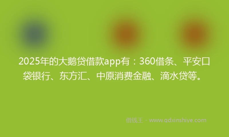 2025年的大鹅贷借款app有：360借条、平安口袋银行、东方汇、中原消费金融、滴水贷等。