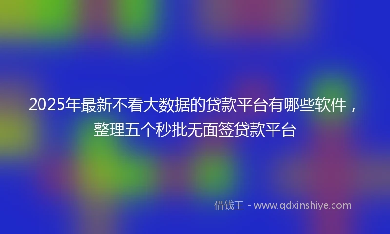 2025年最新不看大数据的贷款平台有哪些软件，整理五个秒批无面签贷款平台