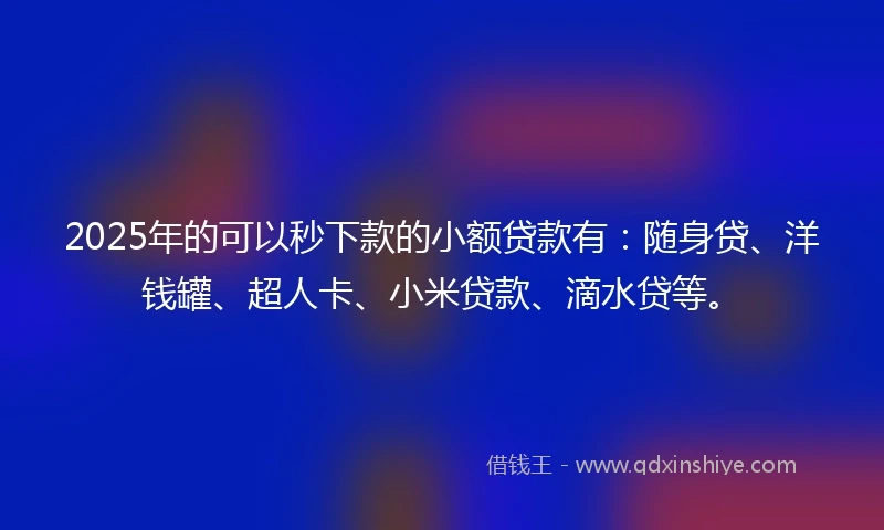 2025年的可以秒下款的小额贷款有：随身贷、洋钱罐、超人卡、小米贷款、滴水贷等。
