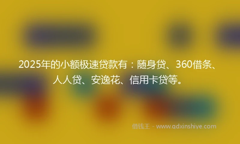 2025年的小额极速贷款有：随身贷、360借条、人人贷、安逸花、信用卡贷等。