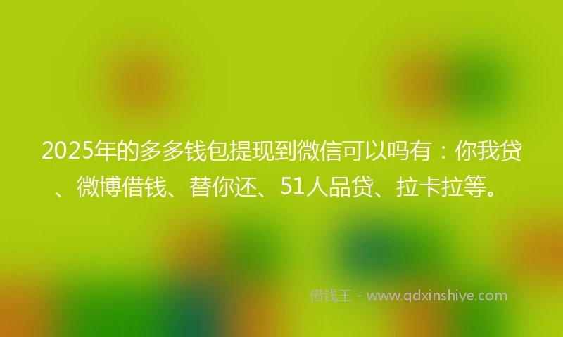 2025年的多多钱包提现到微信可以吗有：你我贷、微博借钱、替你还、51人品贷、拉卡拉等。
