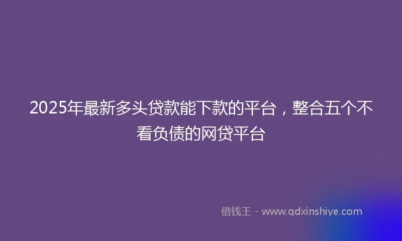 2025年最新多头贷款能下款的平台，整合五个不看负债的网贷平台