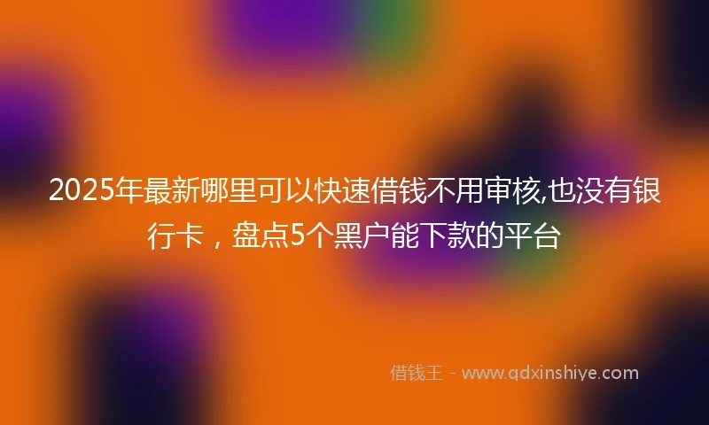 2025年最新哪里可以快速借钱不用审核,也没有银行卡，盘点5个黑户能下款的平台