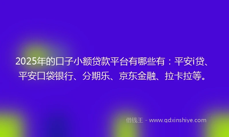 2025年的口子小额贷款平台有哪些有：平安i贷、平安口袋银行、分期乐、京东金融、拉卡拉等。