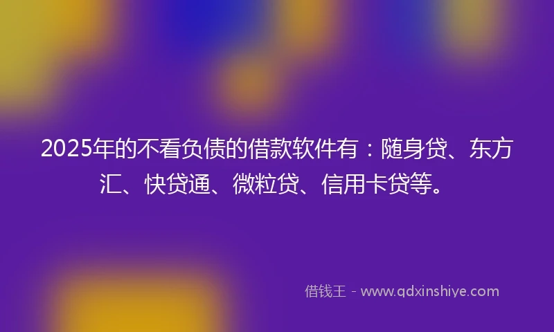 2025年的不看负债的借款软件有：随身贷、东方汇、快贷通、微粒贷、信用卡贷等。