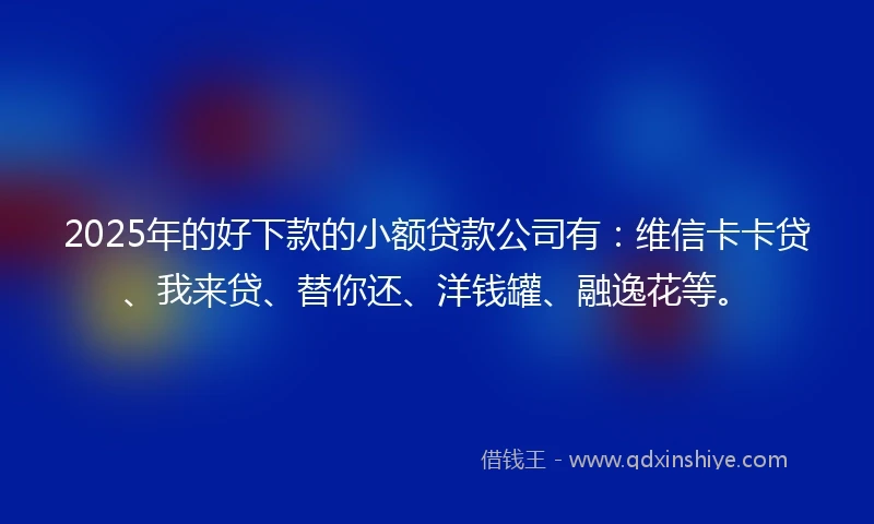 2025年的好下款的小额贷款公司有：维信卡卡贷、我来贷、替你还、洋钱罐、融逸花等。