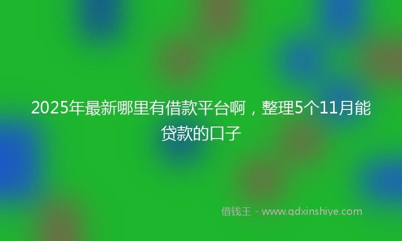 2025年最新哪里有借款平台啊，整理5个11月能贷款的口子