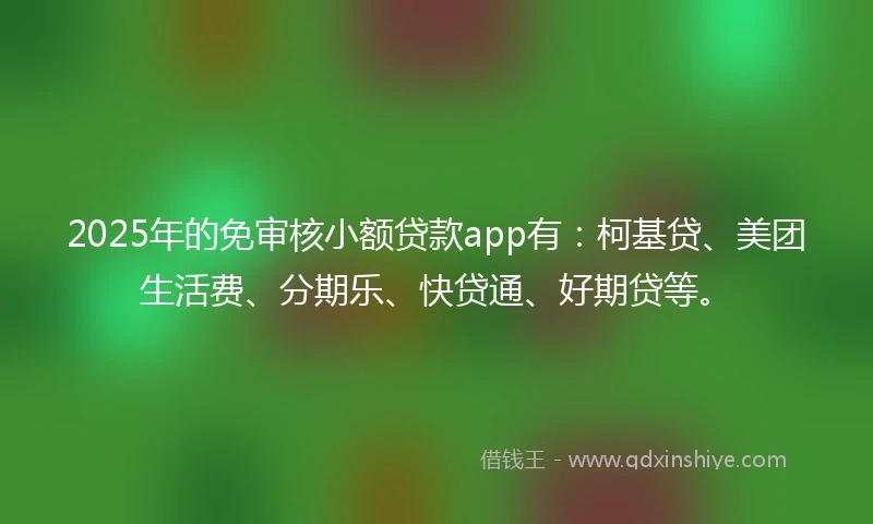2025年的免审核小额贷款app有：柯基贷、美团生活费、分期乐、快贷通、好期贷等。