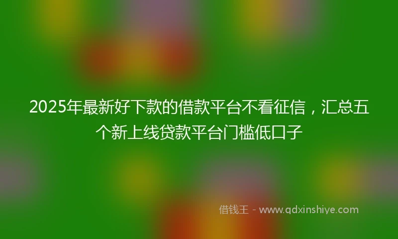 2025年最新好下款的借款平台不看征信，汇总五个新上线贷款平台门槛低口子