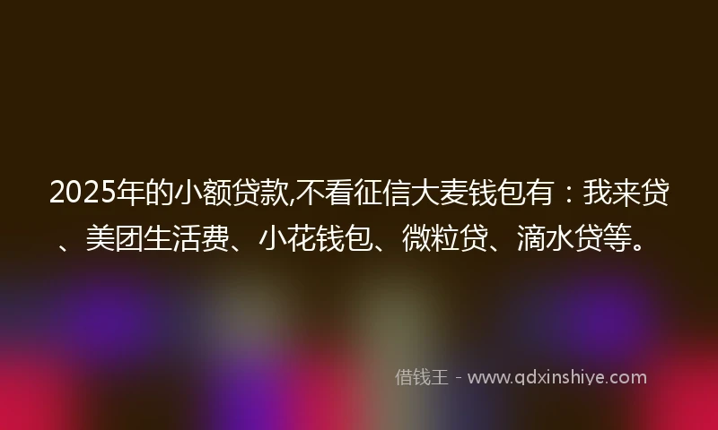 2025年的小额贷款,不看征信大麦钱包有：我来贷、美团生活费、小花钱包、微粒贷、滴水贷等。