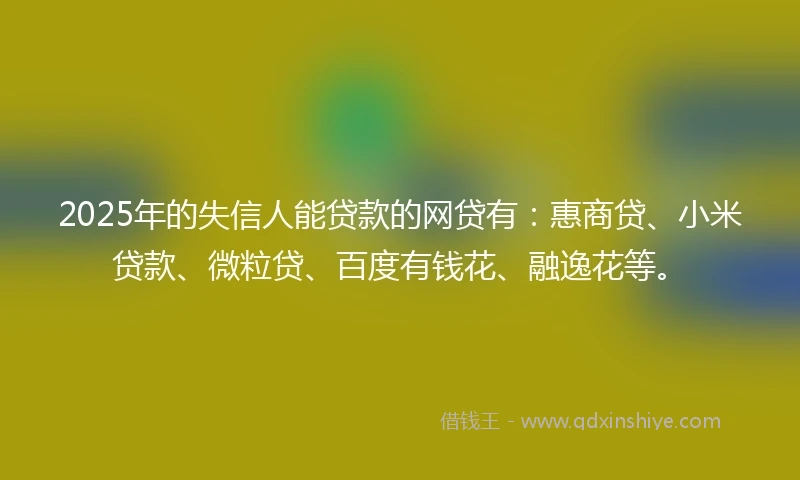 2025年的失信人能贷款的网贷有：惠商贷、小米贷款、微粒贷、百度有钱花、融逸花等。