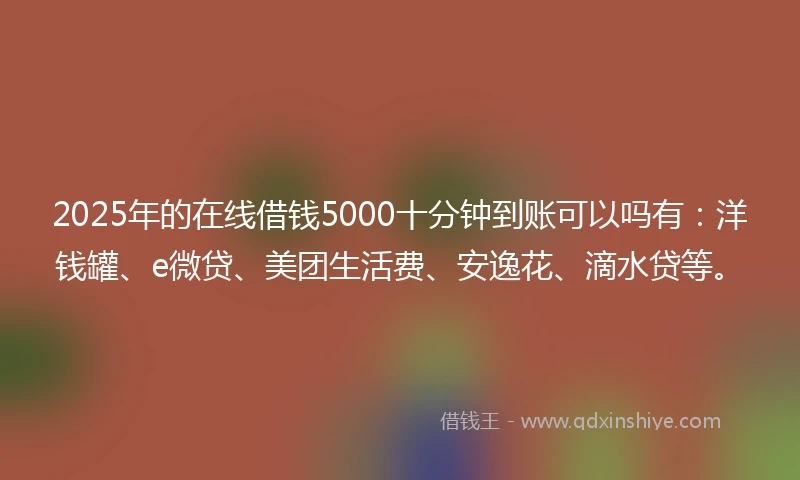 2025年的在线借钱5000十分钟到账可以吗有：洋钱罐、e微贷、美团生活费、安逸花、滴水贷等。
