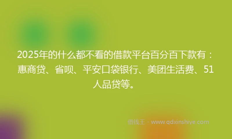 2025年的什么都不看的借款平台百分百下款有：惠商贷、省呗、平安口袋银行、美团生活费、51人品贷等。