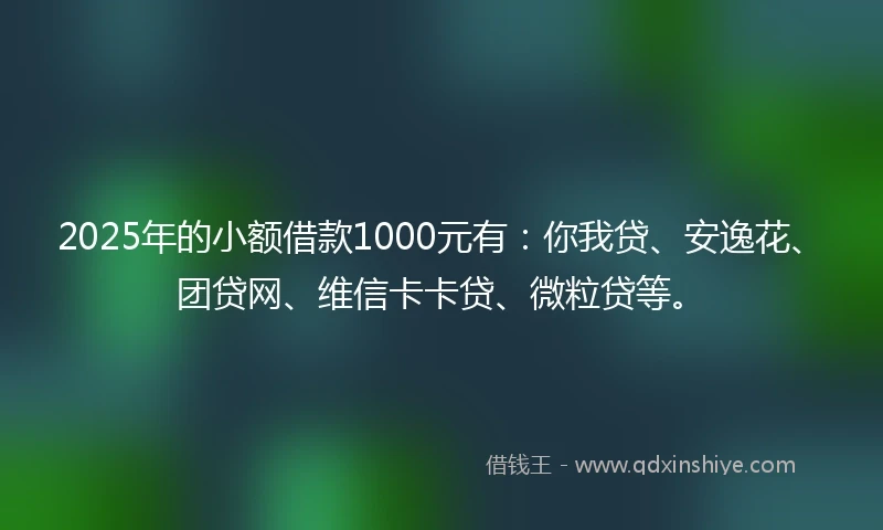 2025年的小额借款1000元有：你我贷、安逸花、团贷网、维信卡卡贷、微粒贷等。