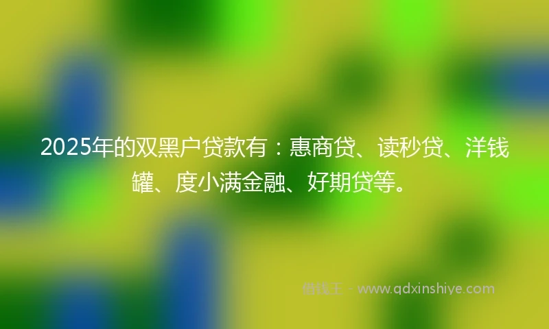 2025年的双黑户贷款有：惠商贷、读秒贷、洋钱罐、度小满金融、好期贷等。