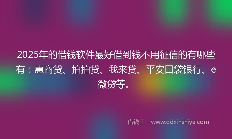 2025年的借钱软件最好借到钱不用征信的有哪些有：惠商贷、拍拍贷、我来贷、平安口袋银行、e微贷等。