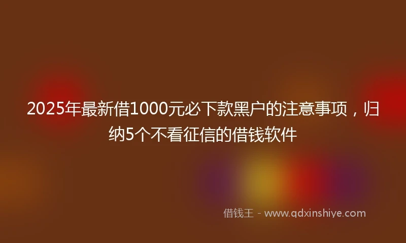 2025年最新借1000元必下款黑户的注意事项，归纳5个不看征信的借钱软件