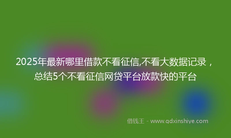 2025年最新哪里借款不看征信,不看大数据记录，总结5个不看征信网贷平台放款快的平台