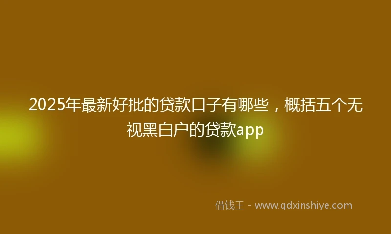 2025年最新好批的贷款口子有哪些，概括五个无视黑白户的贷款app