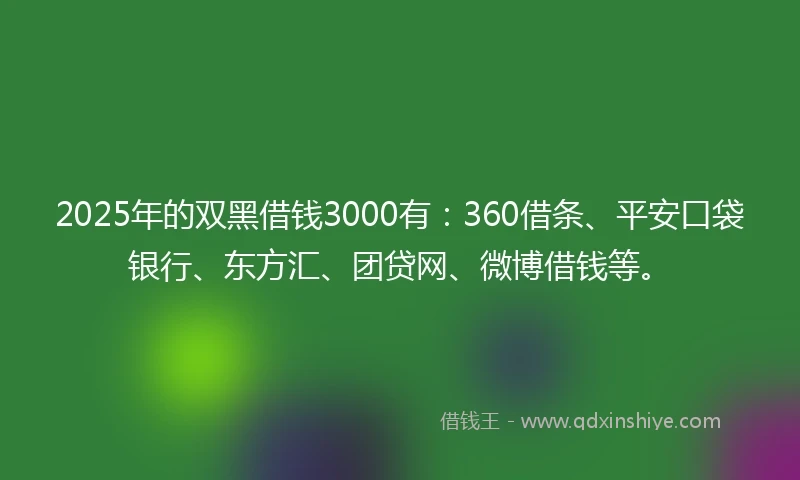2025年的双黑借钱3000有：360借条、平安口袋银行、东方汇、团贷网、微博借钱等。