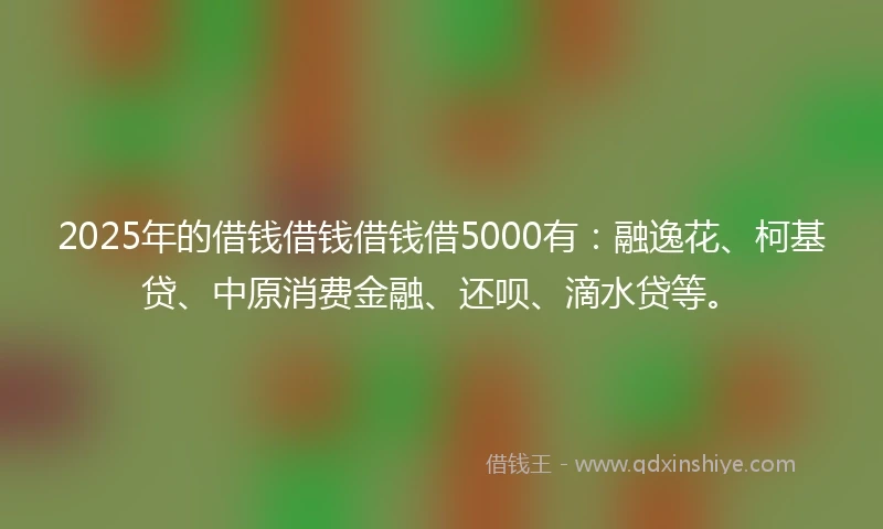 2025年的借钱借钱借钱借5000有：融逸花、柯基贷、中原消费金融、还呗、滴水贷等。