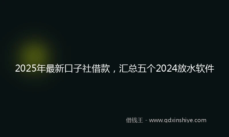 2025年最新口子社借款，汇总五个2024放水软件