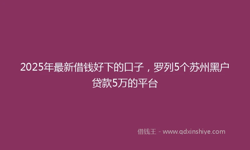 2025年最新借钱好下的口子，罗列5个苏州黑户贷款5万的平台
