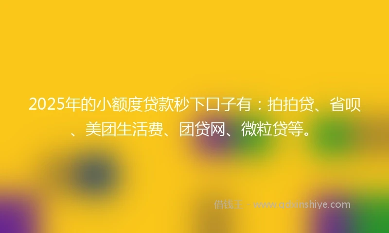 2025年的小额度贷款秒下口子有：拍拍贷、省呗、美团生活费、团贷网、微粒贷等。