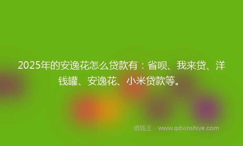 2025年的安逸花怎么贷款有：省呗、我来贷、洋钱罐、安逸花、小米贷款等。