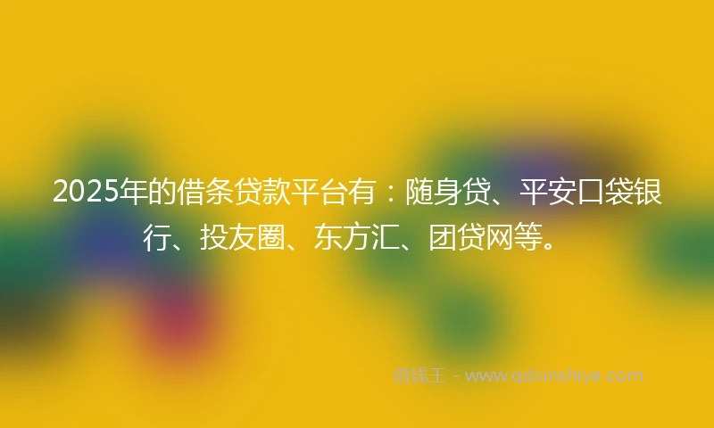 2025年的借条贷款平台有：随身贷、平安口袋银行、投友圈、东方汇、团贷网等。