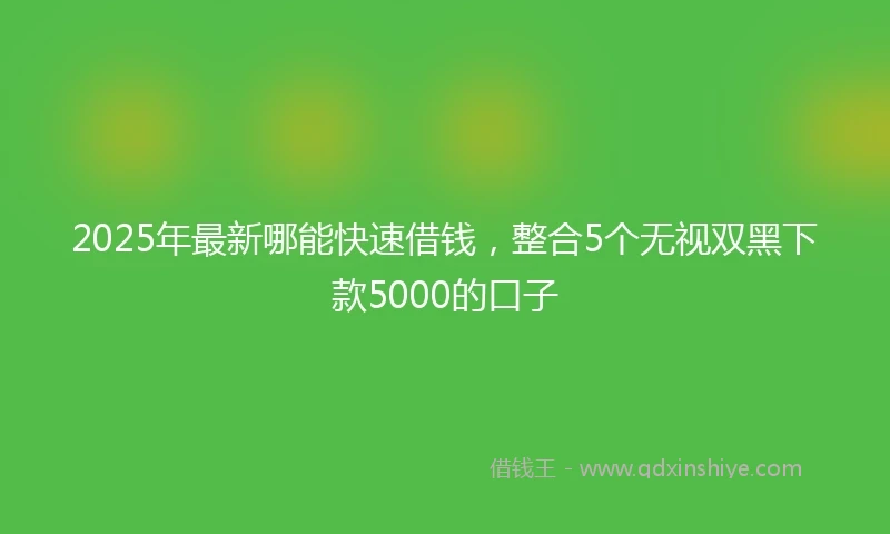 2025年最新哪能快速借钱，整合5个无视双黑下款5000的口子