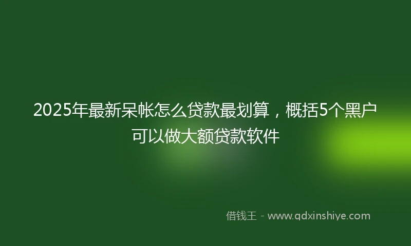 2025年最新呆帐怎么贷款最划算，概括5个黑户可以做大额贷款软件