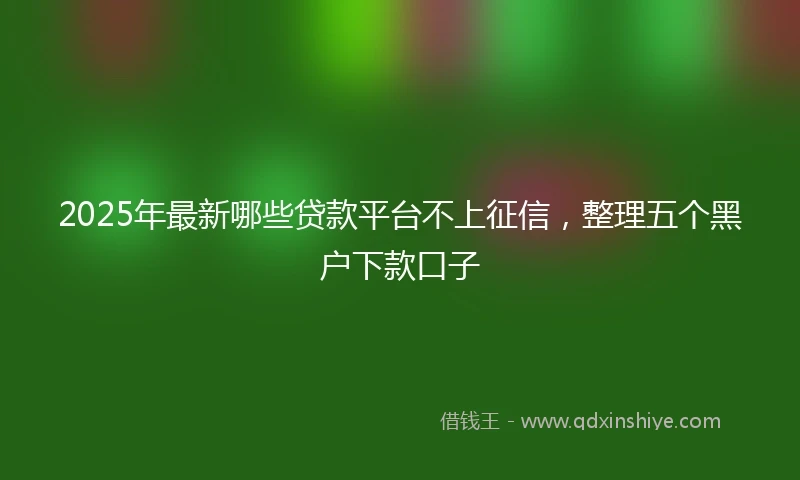 2025年最新哪些贷款平台不上征信，整理五个黑户下款口子