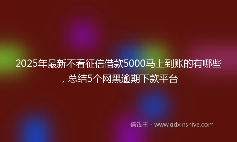 2025年最新不看征信借款5000马上到账的有哪些，总结5个网黑逾期下款平台