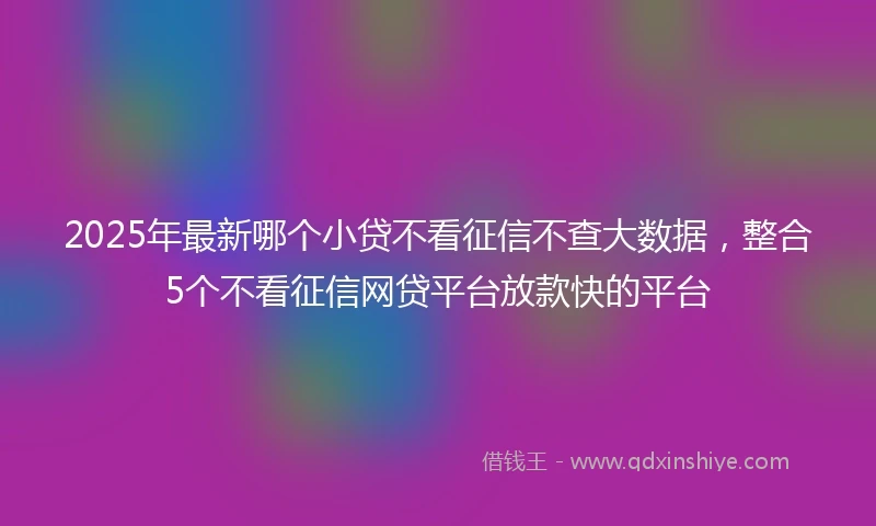 2025年最新哪个小贷不看征信不查大数据，整合5个不看征信网贷平台放款快的平台
